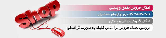 پاساژ اینترنتی، سیستم فروشگاه دهی